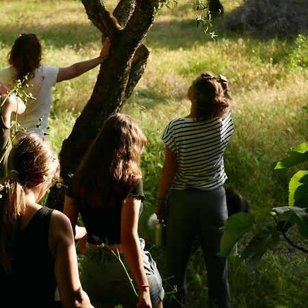 Casa Do Meio Em Quinta De Sao Pedro De Vir-A-Corca 蒙桑图 外观 照片