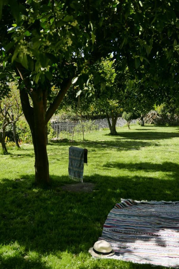 Casa Do Meio Em Quinta De Sao Pedro De Vir-A-Corca 蒙桑图 外观 照片
