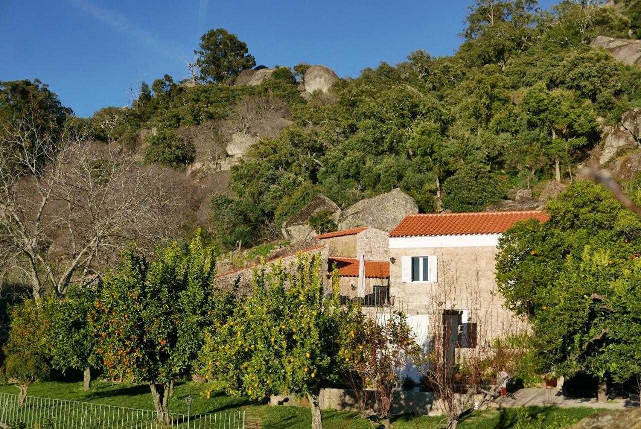 Casa Do Meio Em Quinta De Sao Pedro De Vir-A-Corca 蒙桑图 外观 照片