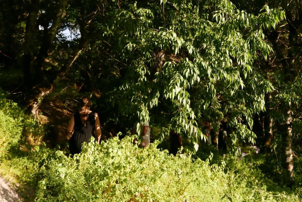 Casa Do Meio Em Quinta De Sao Pedro De Vir-A-Corca 蒙桑图 外观 照片