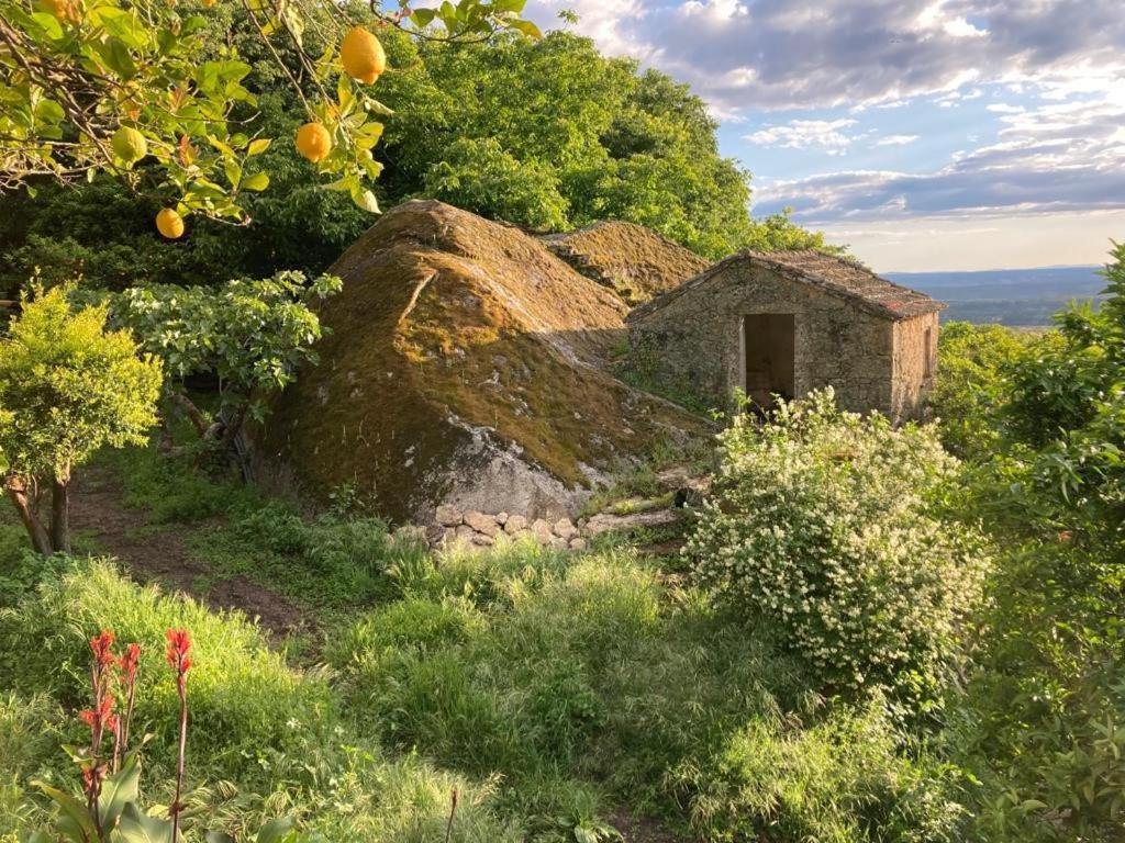 Casa Do Meio Em Quinta De Sao Pedro De Vir-A-Corca 蒙桑图 外观 照片