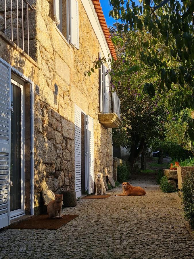 Casa Do Meio Em Quinta De Sao Pedro De Vir-A-Corca 蒙桑图 外观 照片