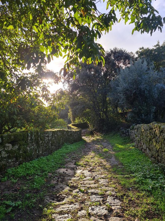 Casa Do Meio Em Quinta De Sao Pedro De Vir-A-Corca 蒙桑图 外观 照片