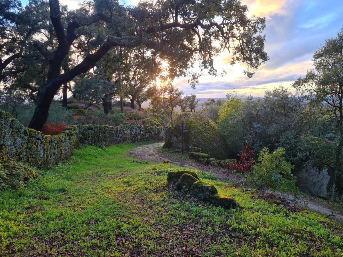 Casa Do Meio Em Quinta De Sao Pedro De Vir-A-Corca 蒙桑图 外观 照片